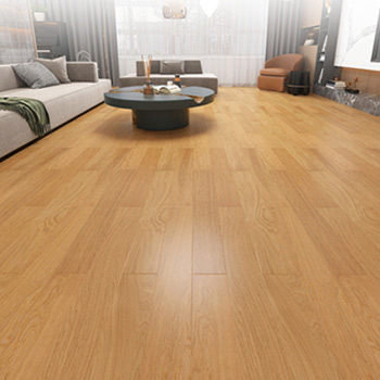 Se deben resolver algunos problemas comunes de coater de rodillo